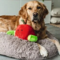 Beeztees Hide And Seek Apfel Hundespielzeug -Hundefutter Welt Verkaufsgeschäft beeztees hide and seek apfel hundespielzeug 1654783291