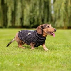 Beeztees Hundepullover Celia -Hundefutter Welt Verkaufsgeschäft beeztees hundepullover celia 1641222046