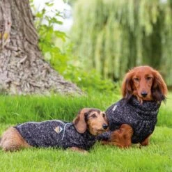 Beeztees Hundepullover Celia -Hundefutter Welt Verkaufsgeschäft beeztees hundepullover celia 1641222055