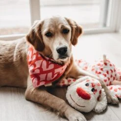 Beeztees XL Hundespielzeug Knuffel Suki Mit Sound -Hundefutter Welt Verkaufsgeschäft beeztees xl hundespielzeug knuffel suki mit sound 1642759447