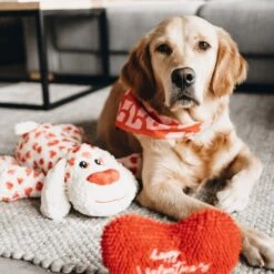 Beeztees XL Hundespielzeug Knuffel Suki Mit Sound -Hundefutter Welt Verkaufsgeschäft beeztees xl hundespielzeug knuffel suki mit sound 1642759451