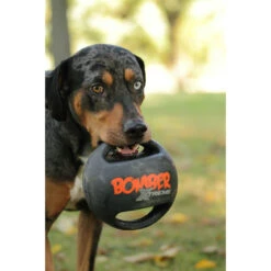 Bomber Xtreme Hundespielzeug -Hundefutter Welt Verkaufsgeschäft bomber xtreme hundespielzeug 1524663928