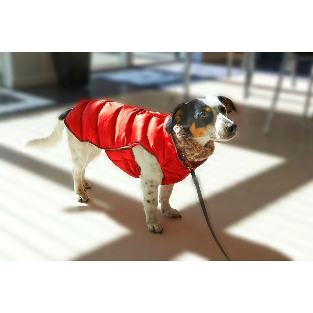 Buster Active Wintermantel Paloma 7 Buster Active Wintermantel Paloma – Bild 5