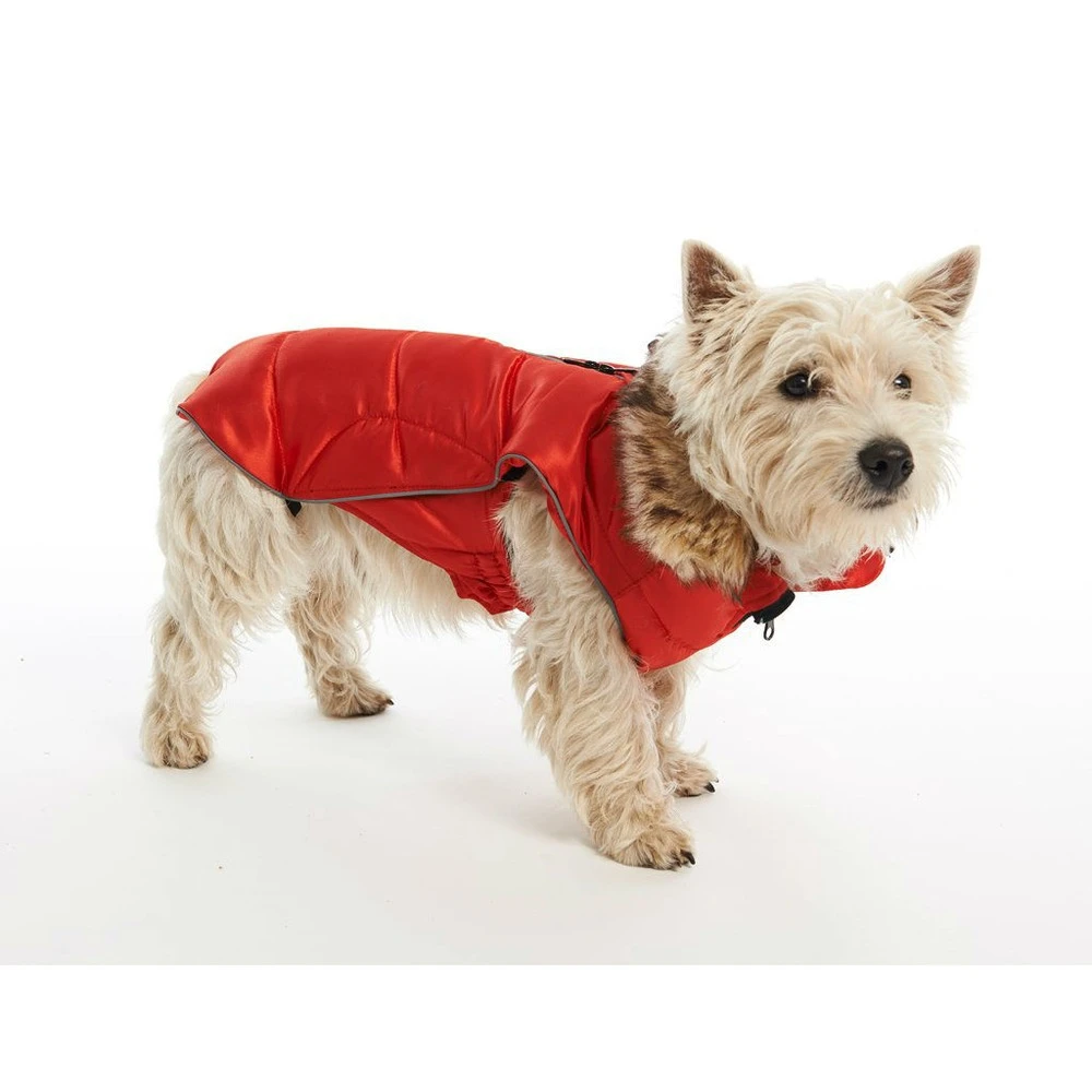 Buster Active Wintermantel Paloma 4 Buster Active Wintermantel Paloma – Bild 2