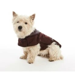 Buster City Hundemantel -Hundefutter Welt Verkaufsgeschäft buster city hundemantel 1476187575