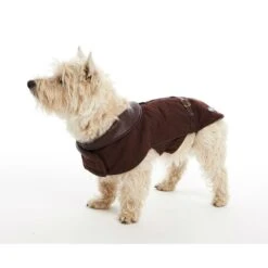 Buster City Hundemantel -Hundefutter Welt Verkaufsgeschäft buster city hundemantel 1476187584