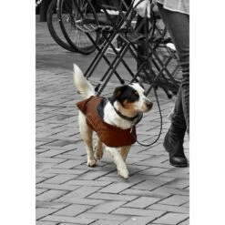 Buster City Hundemantel -Hundefutter Welt Verkaufsgeschäft buster city hundemantel 1476187593