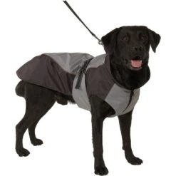 Buster Hundewintermantel Iso Reflex 9 Buster Hundewintermantel Iso Reflex -Hundefutter Welt Verkaufsgeschäft buster hundewintermantel 1454512335