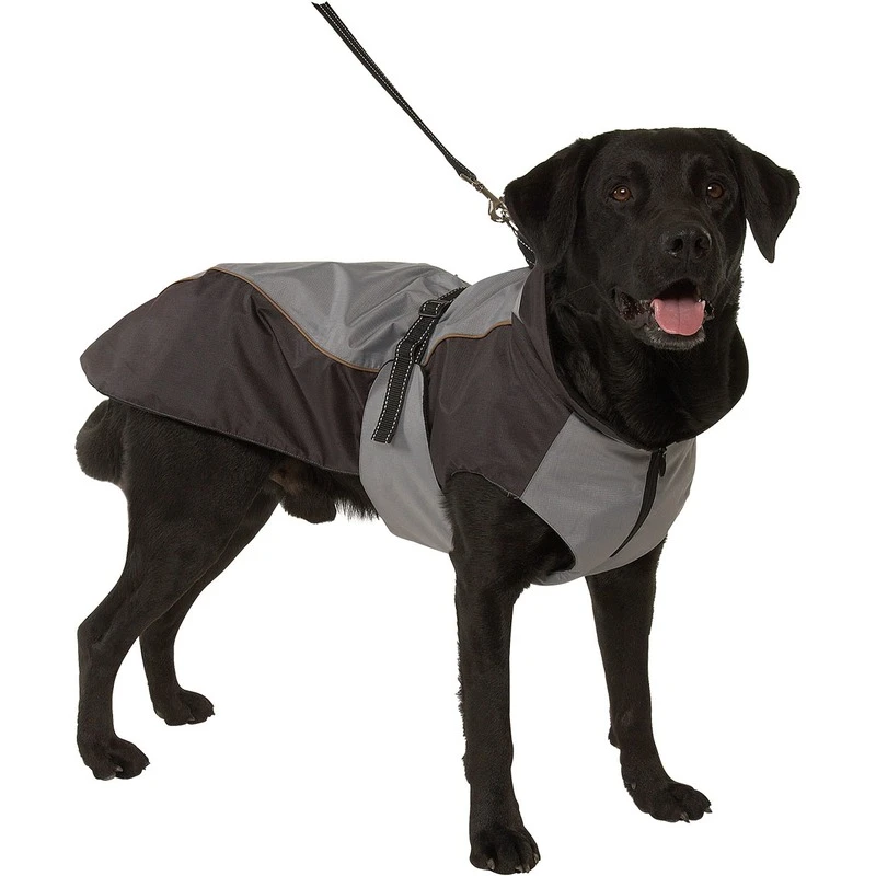 Buster Hundewintermantel Iso Reflex 5 Buster Hundewintermantel Iso Reflex – Bild 3