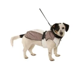 Buster Hundewintermantel Iso Reflex 11 Buster Hundewintermantel Iso Reflex -Hundefutter Welt Verkaufsgeschäft buster hundewintermantel 1454512451