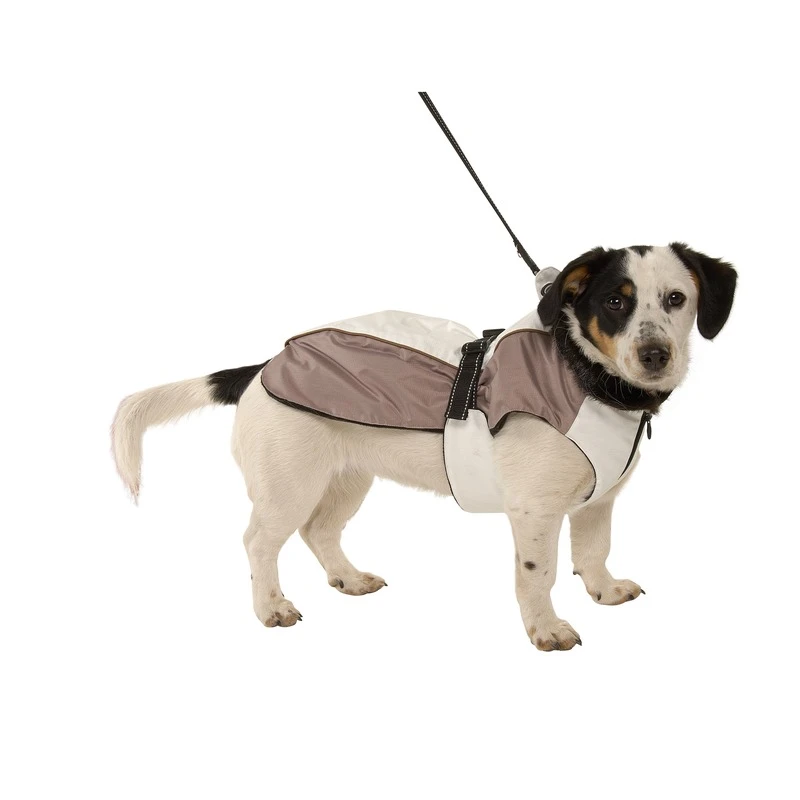 Buster Hundewintermantel Iso Reflex 7 Buster Hundewintermantel Iso Reflex – Bild 5