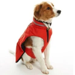 Buster Wintermantel Reflex Für Hunde 15 Buster Wintermantel Reflex Für Hunde -Hundefutter Welt Verkaufsgeschäft buster wintermantel reflex fuer hunde 1623666430