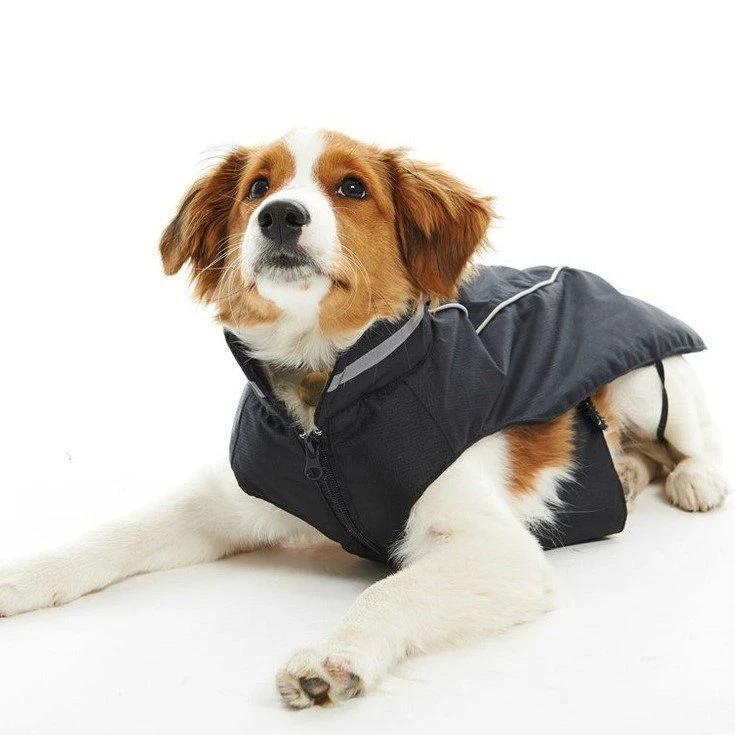 Buster Wintermantel Reflex Für Hunde 9 Buster Wintermantel Reflex Für Hunde – Bild 7