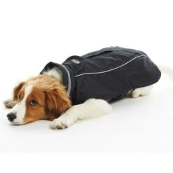 Buster Wintermantel Reflex Für Hunde 19 Buster Wintermantel Reflex Für Hunde -Hundefutter Welt Verkaufsgeschäft buster wintermantel reflex fuer hunde 1623666434