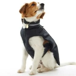 Buster Wintermantel Reflex Für Hunde 16 Buster Wintermantel Reflex Für Hunde -Hundefutter Welt Verkaufsgeschäft buster wintermantel reflex fuer hunde 1623666435