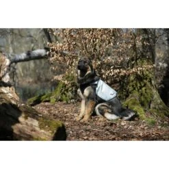 Cani.Cool Kühlweste Für Hunde 19 Cani.Cool Kühlweste Für Hunde -Hundefutter Welt Verkaufsgeschäft cani cool kuehlweste fuer hunde 1532698684