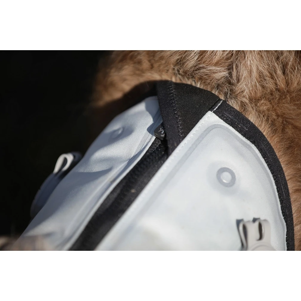 Cani.Cool Kühlweste Für Hunde 12 Cani.Cool Kühlweste Für Hunde – Bild 10