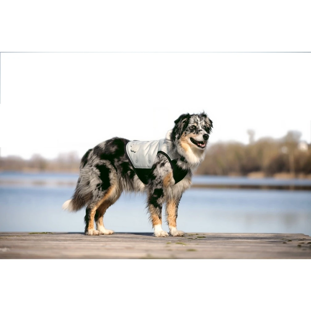 Cani.Cool Kühlweste Für Hunde 4 Cani.Cool Kühlweste Für Hunde – Bild 2