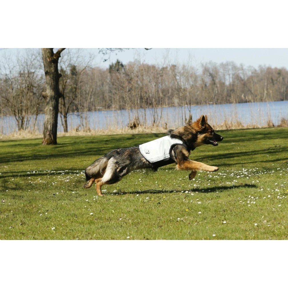 Cani.Cool Kühlweste Für Hunde 9 Cani.Cool Kühlweste Für Hunde – Bild 7