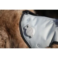 Cani.Cool Kühlweste Für Hunde 26 Cani.Cool Kühlweste Für Hunde -Hundefutter Welt Verkaufsgeschäft cani cool kuehlweste fuer hunde 1532698822