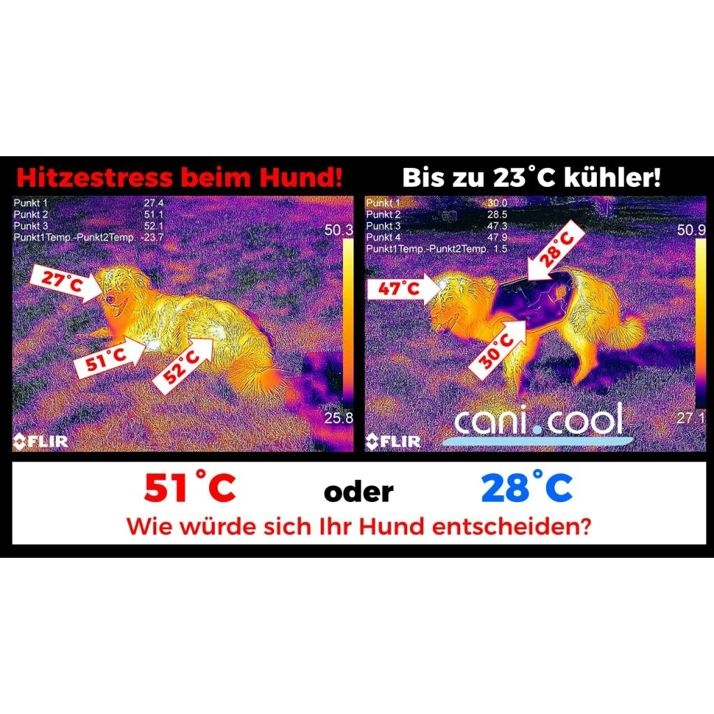 Cani.Cool Kühlweste Für Hunde 5 Cani.Cool Kühlweste Für Hunde – Bild 3