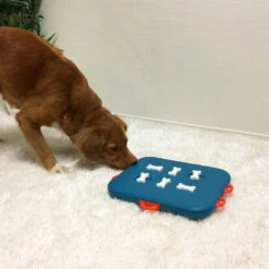 Nina Ottosson Dog Casino Hundespielzeug Plastik -Hundefutter Welt Verkaufsgeschäft dog casino hundespielzeug plastik 1517933104