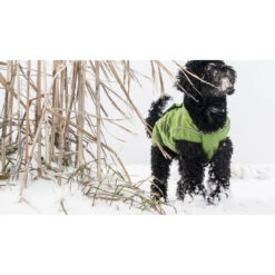 DogBite Hunde Ganzjahres Regenjacke Matt -Hundefutter Welt Verkaufsgeschäft dogbite hunde ganzjahres regenjacke matt 1542992486