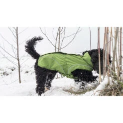 DogBite Hunde Ganzjahres Regenjacke Matt -Hundefutter Welt Verkaufsgeschäft dogbite hunde ganzjahres regenjacke matt 1542992492