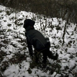 DogBite Hunde Leucht-Winterjacke Mit LED -Hundefutter Welt Verkaufsgeschäft dogbite hunde leucht winterjacke mit led 1542992353