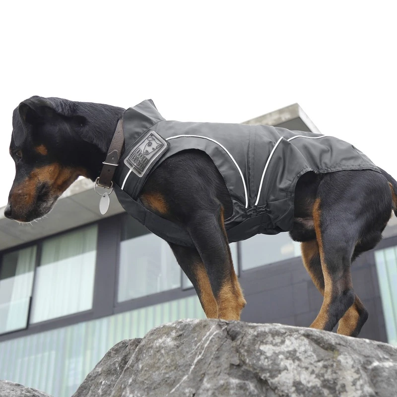 DogBite Hunde Regenjacke 16 DogBite Hunde Regenjacke – Bild 14