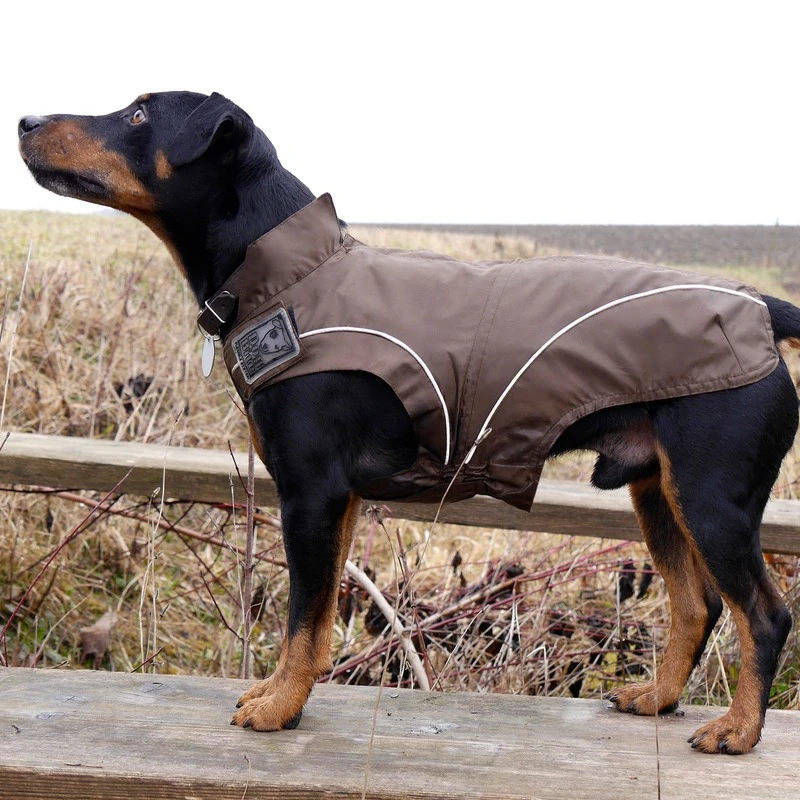 DogBite Hunde Regenjacke 12 DogBite Hunde Regenjacke – Bild 10