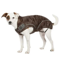 DogBite Hunde Regenjacke 24 DogBite Hunde Regenjacke -Hundefutter Welt Verkaufsgeschäft dogbite hunde regenjacke 1502797915