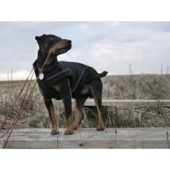 DogBite Hunde Softshell Jacke -Hundefutter Welt Verkaufsgeschäft dogbite hunde softshell jacke 1443018679