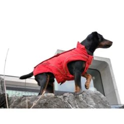 DogBite Hunde Softshell Jacke -Hundefutter Welt Verkaufsgeschäft dogbite hunde softshell jacke 1443018744