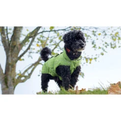 DogBite Hunde Winterjacke Matt -Hundefutter Welt Verkaufsgeschäft dogbite hunde winterjacke matt 1542992609