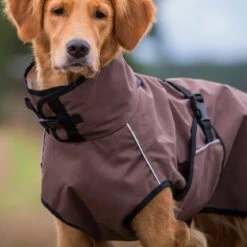 ActionFactory Fit4dogs Active Cape LIGHT Hundemantel -Hundefutter Welt Verkaufsgeschäft fit4dogs active cape light hundemantel 1574252199