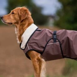 ActionFactory Fit4dogs Active Cape LIGHT Hundemantel -Hundefutter Welt Verkaufsgeschäft fit4dogs active cape light hundemantel 1574252244
