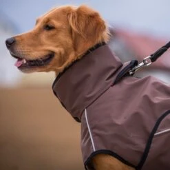 ActionFactory Fit4dogs Active Cape LIGHT Hundemantel -Hundefutter Welt Verkaufsgeschäft fit4dogs active cape light hundemantel 1574252248