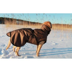 ActionFactory Fit4dogs Active Cape PLUS Outdoor Hundejacke -Hundefutter Welt Verkaufsgeschäft fit4dogs active cape plus outdoor hundejacke 1651827407