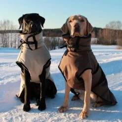 ActionFactory Fit4dogs Active Cape PLUS Outdoor Hundejacke -Hundefutter Welt Verkaufsgeschäft fit4dogs active cape plus outdoor hundejacke 1651827413
