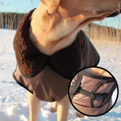 ActionFactory Fit4dogs Active Cape PLUS Outdoor Hundejacke -Hundefutter Welt Verkaufsgeschäft fit4dogs active cape plus outdoor hundejacke 1651827415