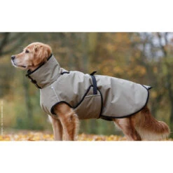 ActionFactory Fit4dogs Active Cape PLUS Outdoor Hundejacke -Hundefutter Welt Verkaufsgeschäft fit4dogs active cape plus outdoor hundejacke 1651827436