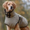 ActionFactory Fit4dogs Active Cape PLUS Outdoor Hundejacke