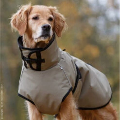 ActionFactory Fit4dogs Active Cape PLUS Outdoor Hundejacke