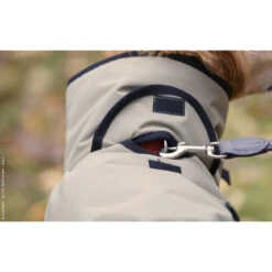 ActionFactory Fit4dogs Active Cape PLUS Outdoor Hundejacke -Hundefutter Welt Verkaufsgeschäft fit4dogs active cape plus outdoor hundejacke 1651827443