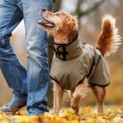 ActionFactory Fit4dogs Active Cape PLUS Outdoor Hundejacke -Hundefutter Welt Verkaufsgeschäft fit4dogs active cape plus outdoor hundejacke 1651827448
