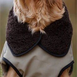 ActionFactory Fit4dogs Active Cape PLUS Outdoor Hundejacke -Hundefutter Welt Verkaufsgeschäft fit4dogs active cape plus outdoor hundejacke 1651827451