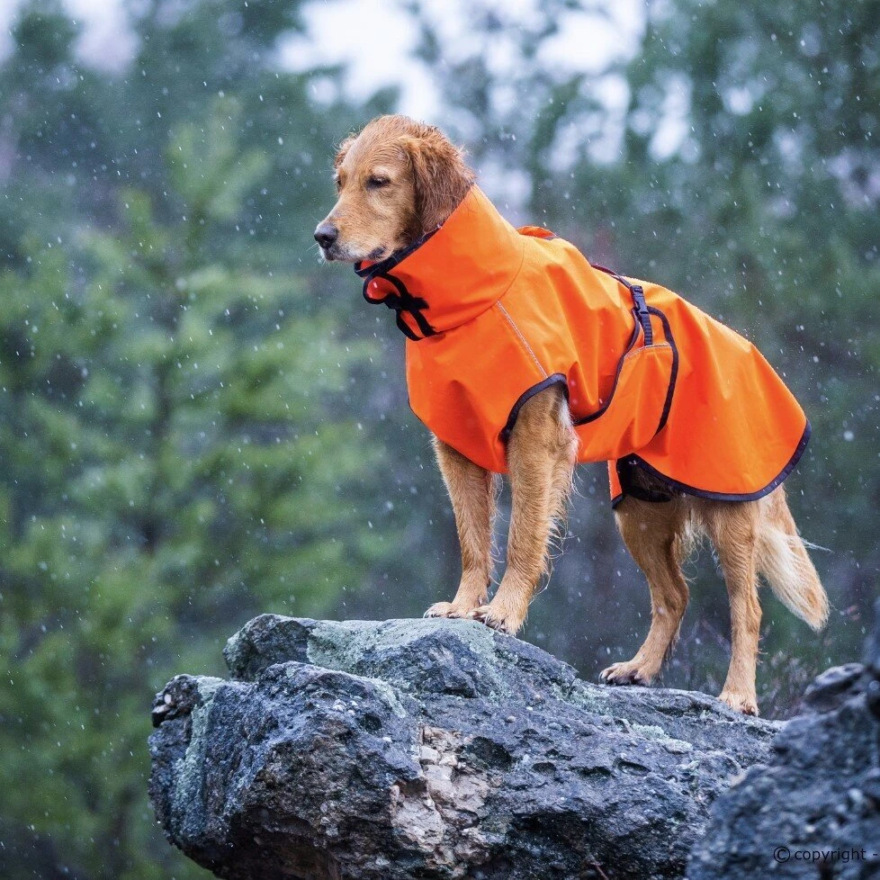 ActionFactory Fit4dogs Active Cape Wind & Rain 3 ActionFactory Fit4dogs Active Cape Wind & Rain