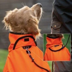 ActionFactory Fit4dogs Active Cape Wind & Rain 17 ActionFactory Fit4dogs Active Cape Wind & Rain -Hundefutter Welt Verkaufsgeschäft fit4dogs active cape wind rain 1651739953