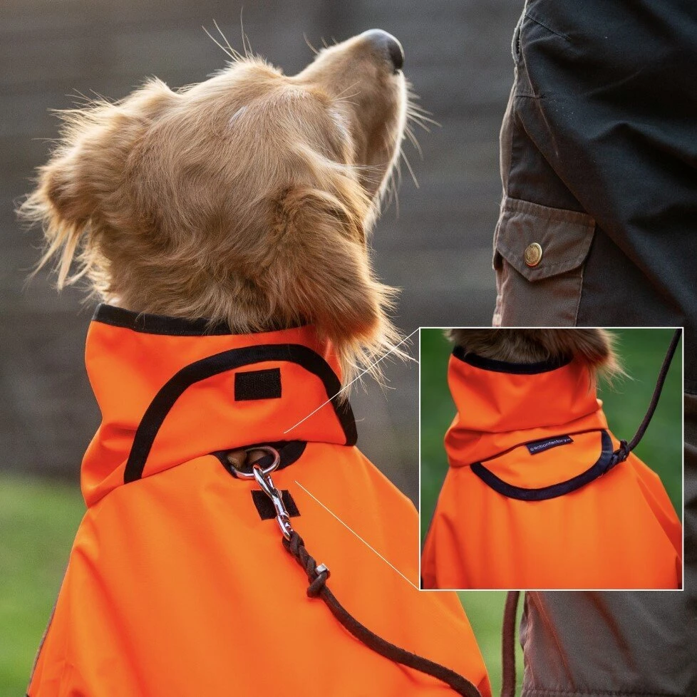 ActionFactory Fit4dogs Active Cape Wind & Rain 10 ActionFactory Fit4dogs Active Cape Wind & Rain – Bild 8
